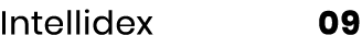 Intellidex  09