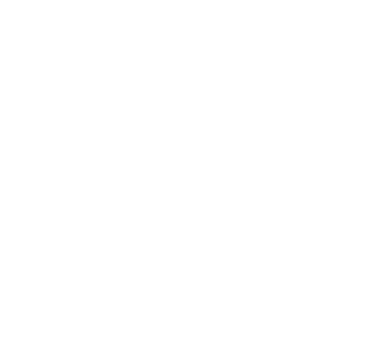 These notes solve several problems for investors who are looking for foreign currency exposure: They hedge against ra   