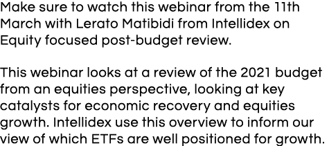 Make sure to watch this webinar from the 11th March with Lerato Matibidi from Intellidex on Equity focused post-budge   